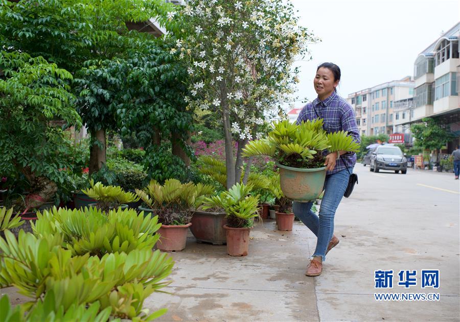 （壮阔东方潮　奋进新时代——庆祝改革开放40年）（5）福建“百花村”：续写新时期美丽传奇