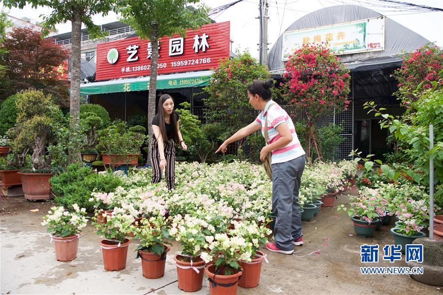 （壮阔东方潮　奋进新时代——庆祝改革开放40年）（6）福建“百花村”：续写新时期美丽传奇