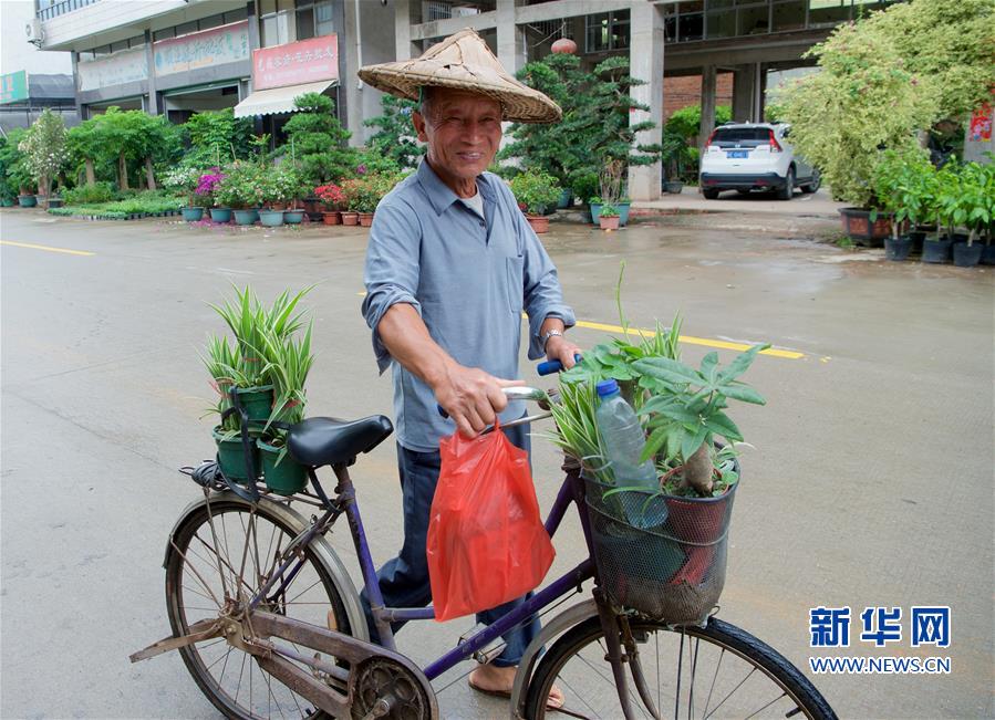 （壮阔东方潮　奋进新时代——庆祝改革开放40年）（8）福建“百花村”：续写新时期美丽传奇