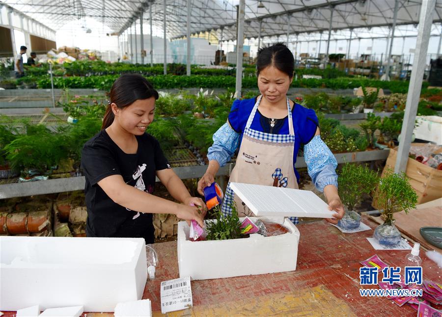 （壮阔东方潮　奋进新时代——庆祝改革开放40年）（11）福建“百花村”：续写新时期美丽传奇