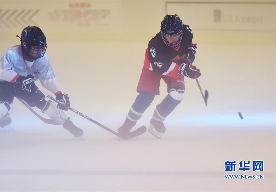 （体育）（4）福州成立冰上运动协会促进冰上运动普及