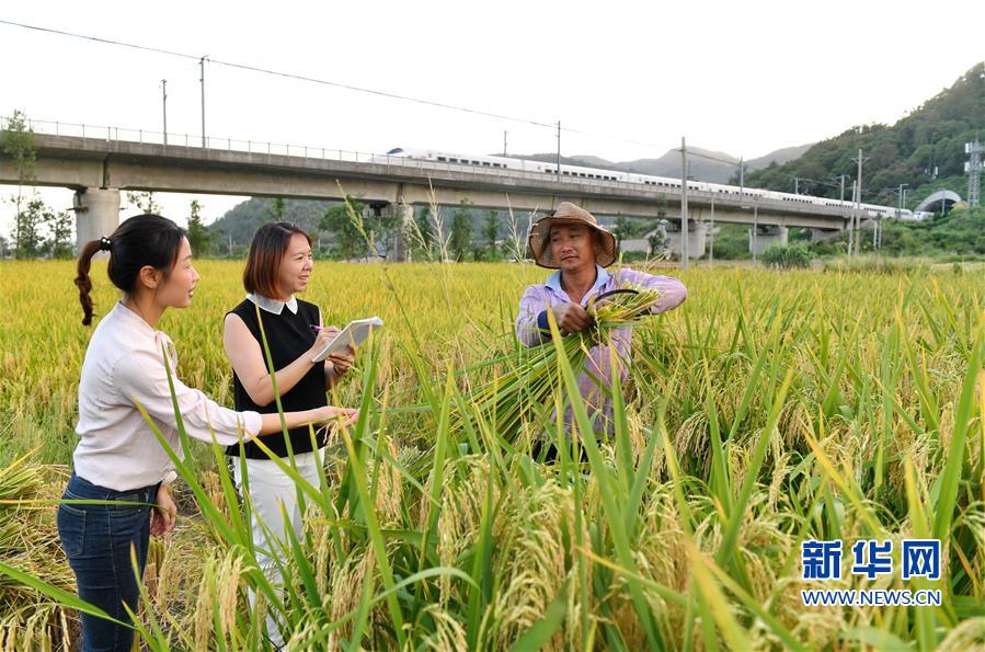 （社会）福建霞浦：推动村级巡察