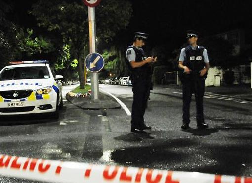 （国际）新西兰克赖斯特彻奇枪击案致49死48伤