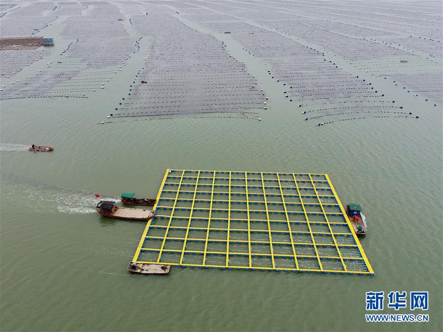 （社会）（1）福建霞浦：加快海上养殖综合整治