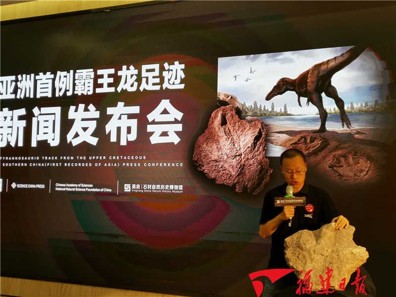 我国发现亚洲首例霸王龙足迹 足迹化石现藏于福建南安图3
