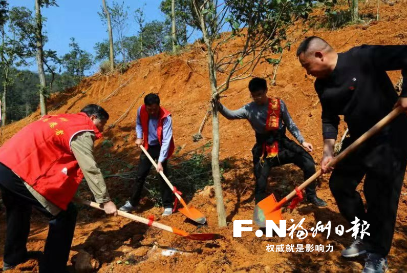 植树节,福州各地刮起“绿旋风”