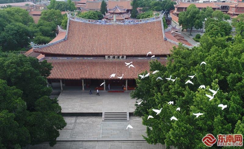 泉州开元寺：“桑莲法界”结缘“海丝之路” -东南网-福建官方新闻门户