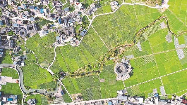 美丽的乡村春景画卷