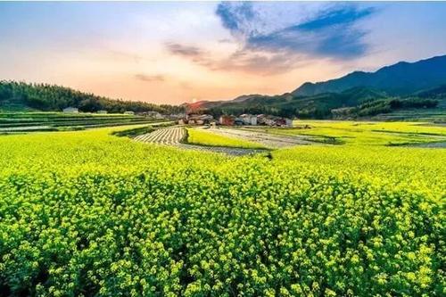 又获国家级称号!这个县堪称福建“绿肺”!每一口呼吸都是宝!(3)