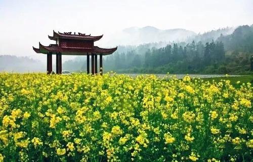 又获国家级称号!这个县堪称福建“绿肺”!每一口呼吸都是宝!(3)