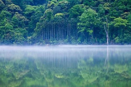 又获国家级称号!这个县堪称福建“绿肺”!每一口呼吸都是宝!(6)