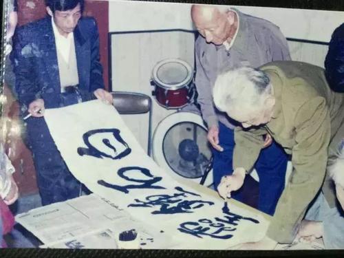 又获国家级称号!这个县堪称福建“绿肺”!每一口呼吸都是宝!(8)