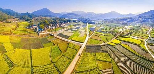 又获国家级称号!这个县堪称福建“绿肺”!每一口呼吸都是宝!(10)