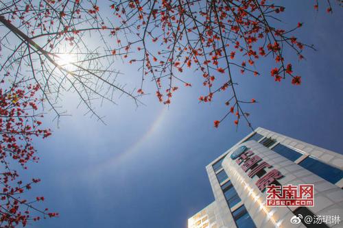 福州市上空出现的日晕现象 汤珺琳摄.jpg