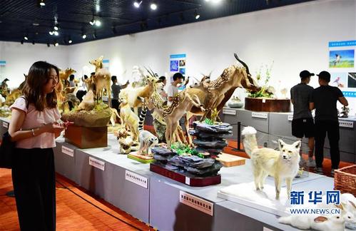 （文化）（2）第四届中国动物标本大赛作品向公众开放