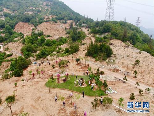 (图文互动)(1)拆除、复绿:福州市持续开展违建坟墓专项整治行动