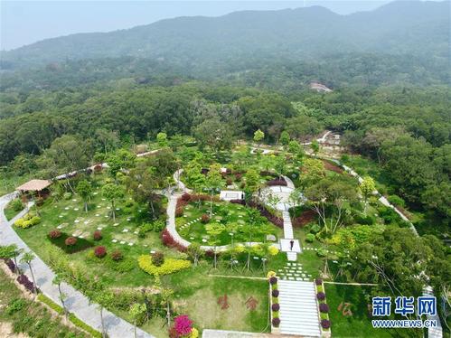 (图文互动)(5)拆除、复绿:福州市持续开展违建坟墓专项整治行动