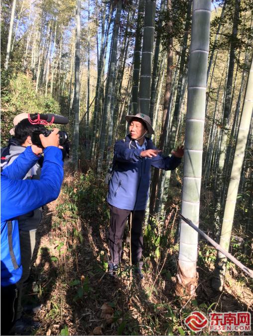 厦门大学教授李振基向媒体介绍武夷山国家公园内毛竹生长常识 东南网