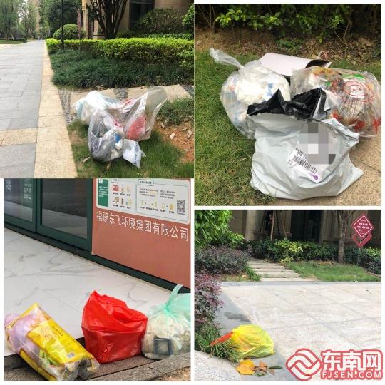 早上9点前后，小区楼栋及垃圾房外就开始出现垃圾.jpg