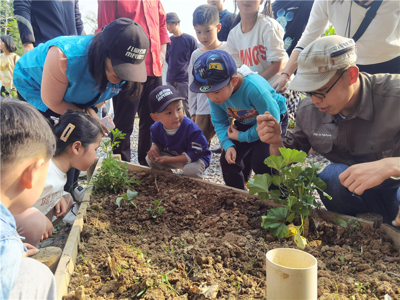 “春日菜菜乐”亲子种植活动  福州市儿童公园供图.jpg