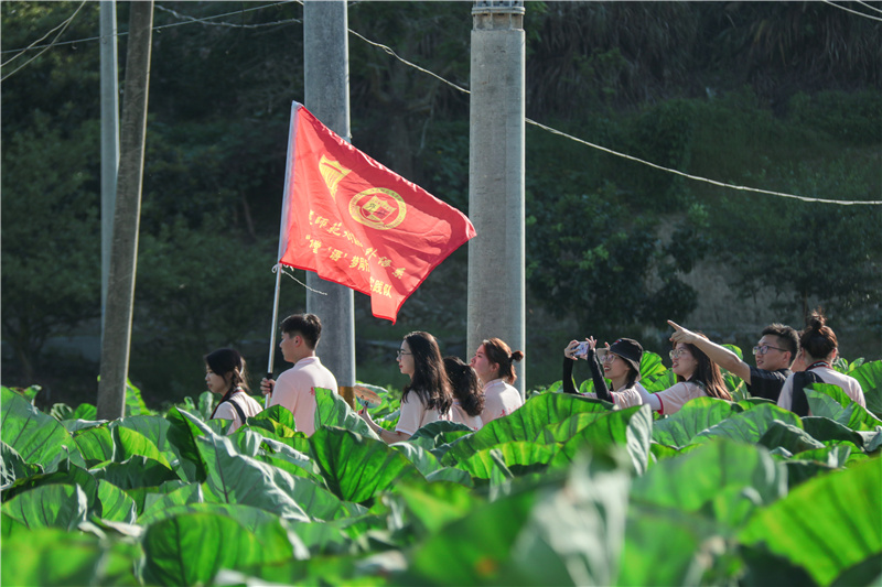 外语系师生走出课堂 亲近土地 帮助当地农民干农活 通讯员鲁雅怡摄 .jpg