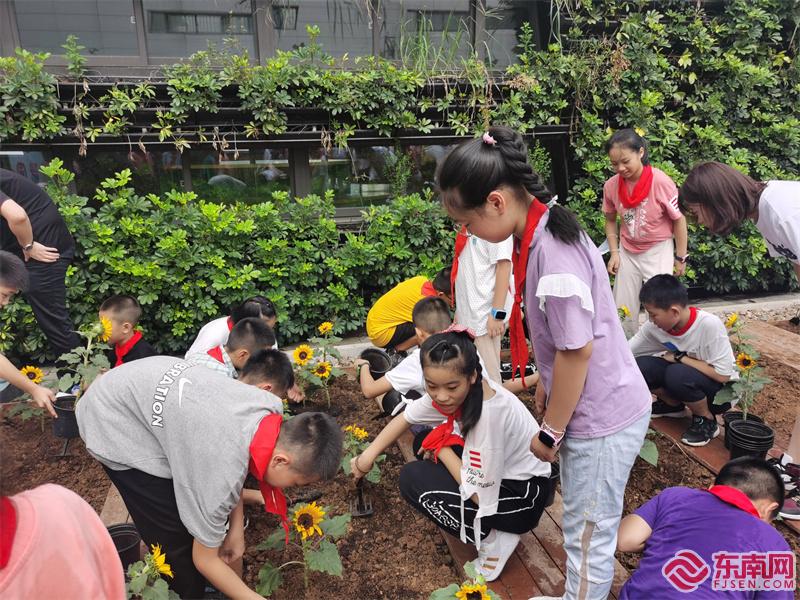 闽江师专附属实小同学体验劳动乐趣 学校供图.jpg