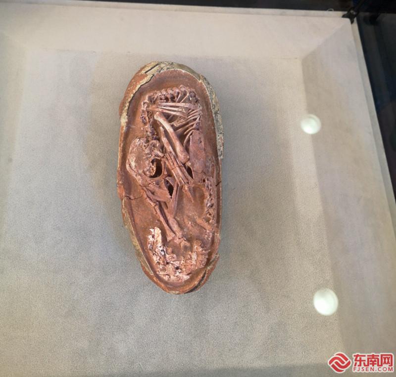 微信图片_20211222112622.jpg