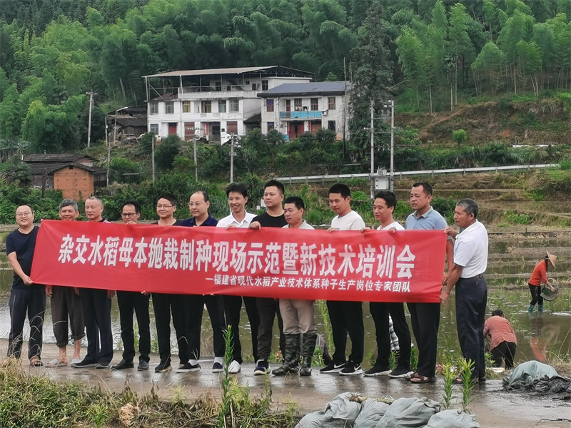 陈建民在杂交水稻母本抛栽制种现场示范暨技术培训会现场（右起第五位）。受访者供图.jpg