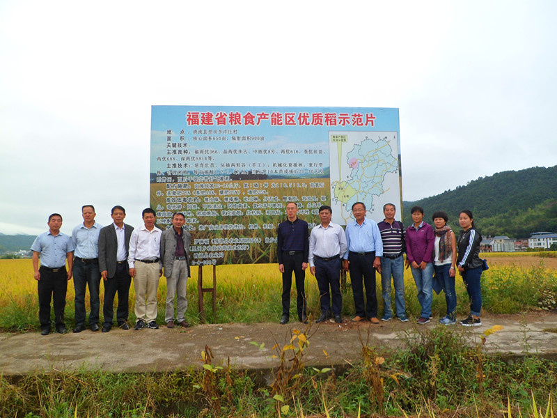 陈建民在福建省粮食产能区优质稻示范片现场（左起第四位）。受访者供图.jpg