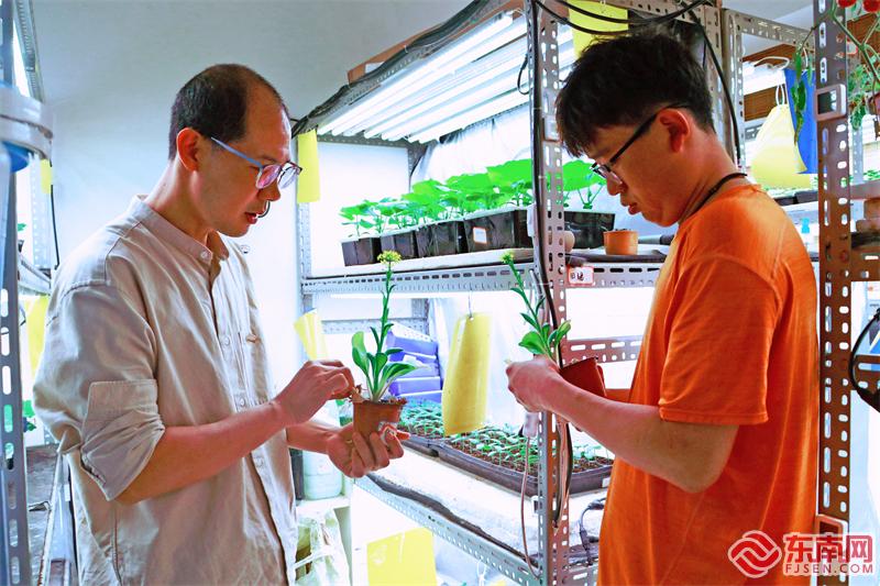 钟凤林（左）指导学生授粉 东南网记者郑晓丹 摄.jpg