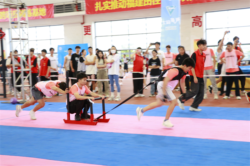 东南网记者郑晓丹 摄 (12).jpg