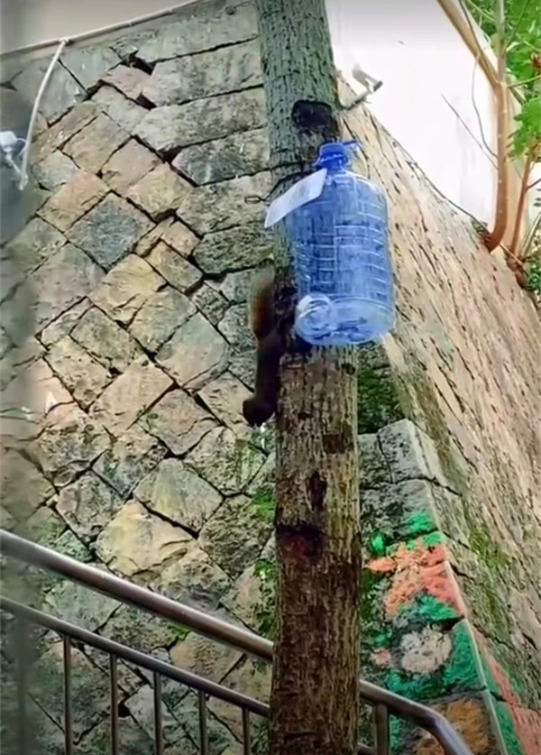 微信图片_20230522113805.jpg