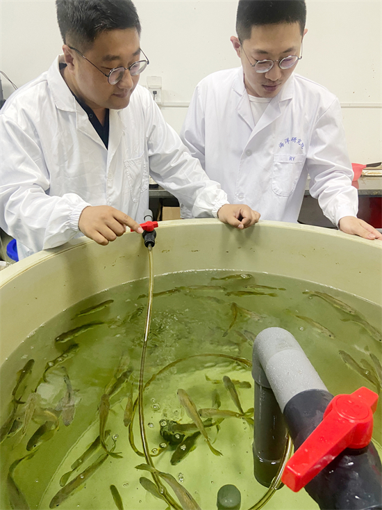4大黄鱼培育专家与研究生交流 东南网记者 颜财斌摄.jpg