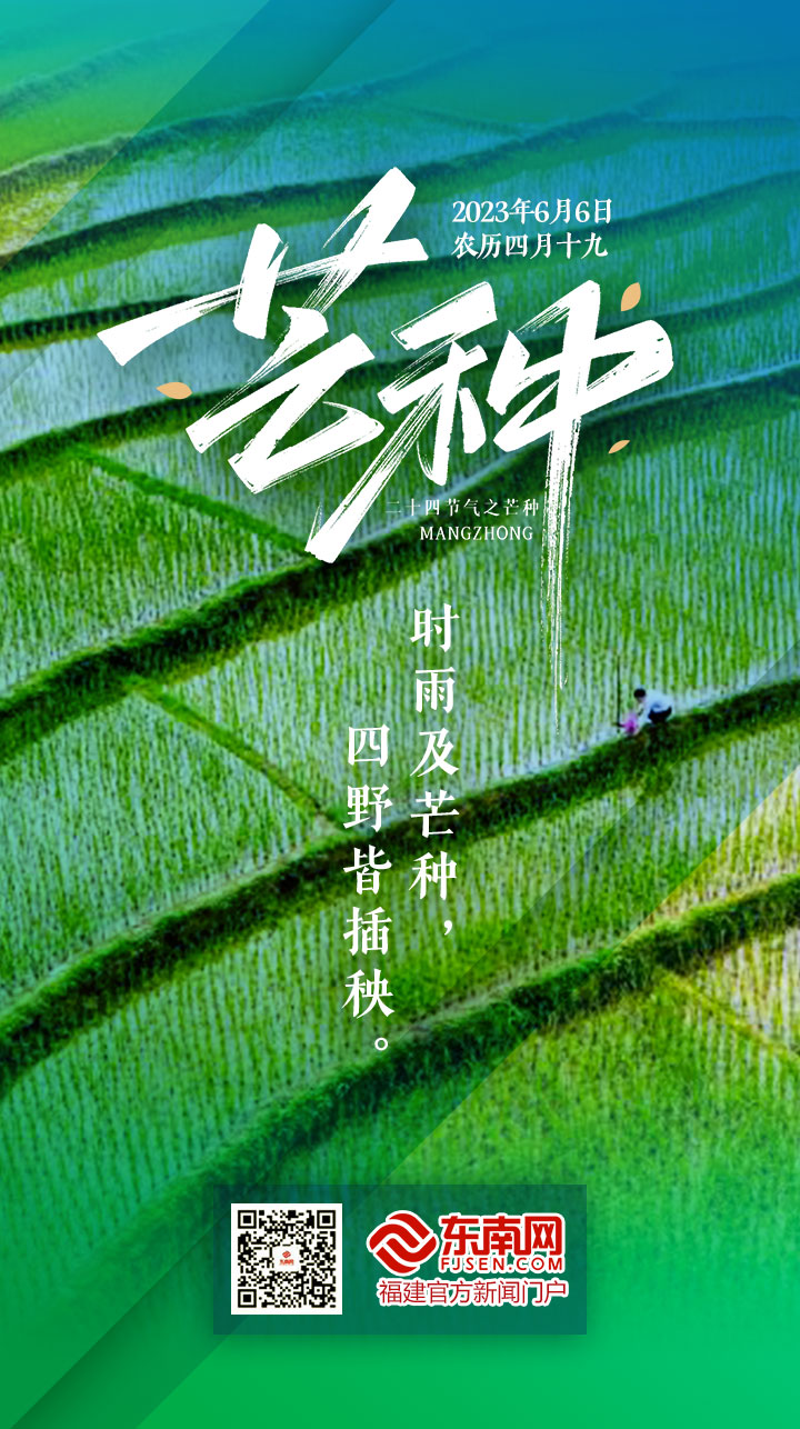 2023芒种.jpg
