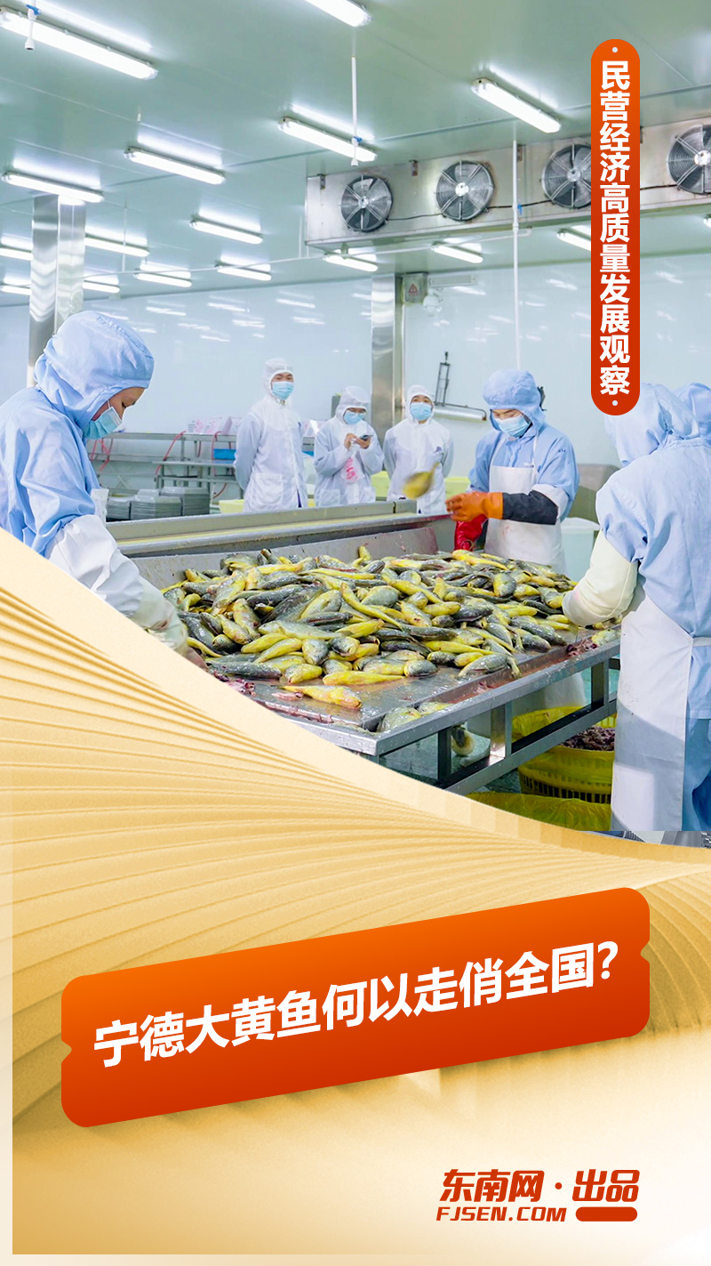 深耕一条鱼2.jpg