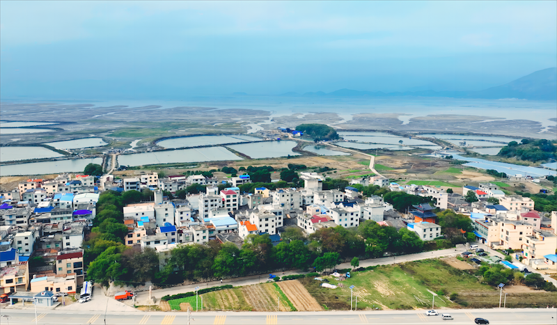 最美古树群 霞浦县黄连木古树群。.png