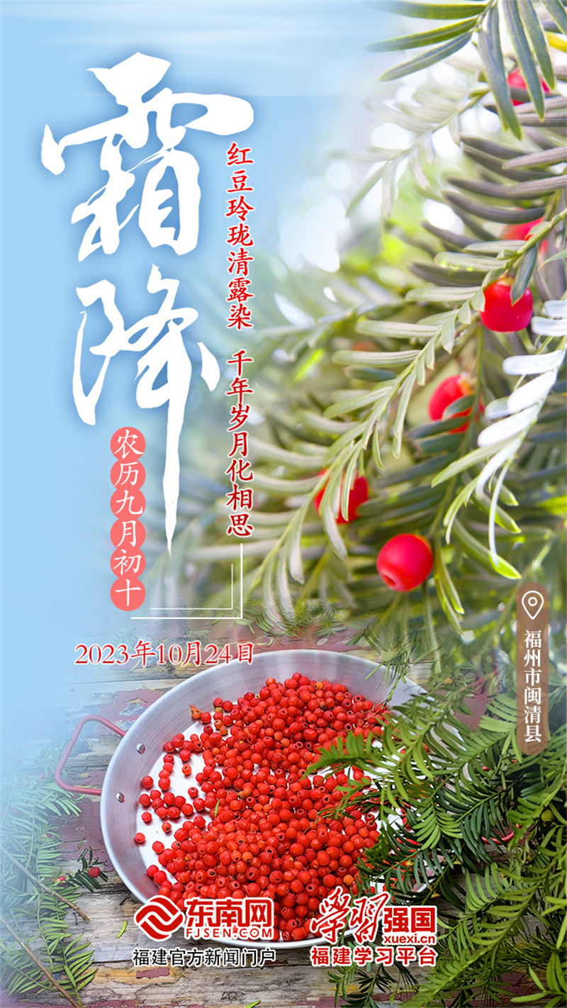 东南网 霜降.jpg