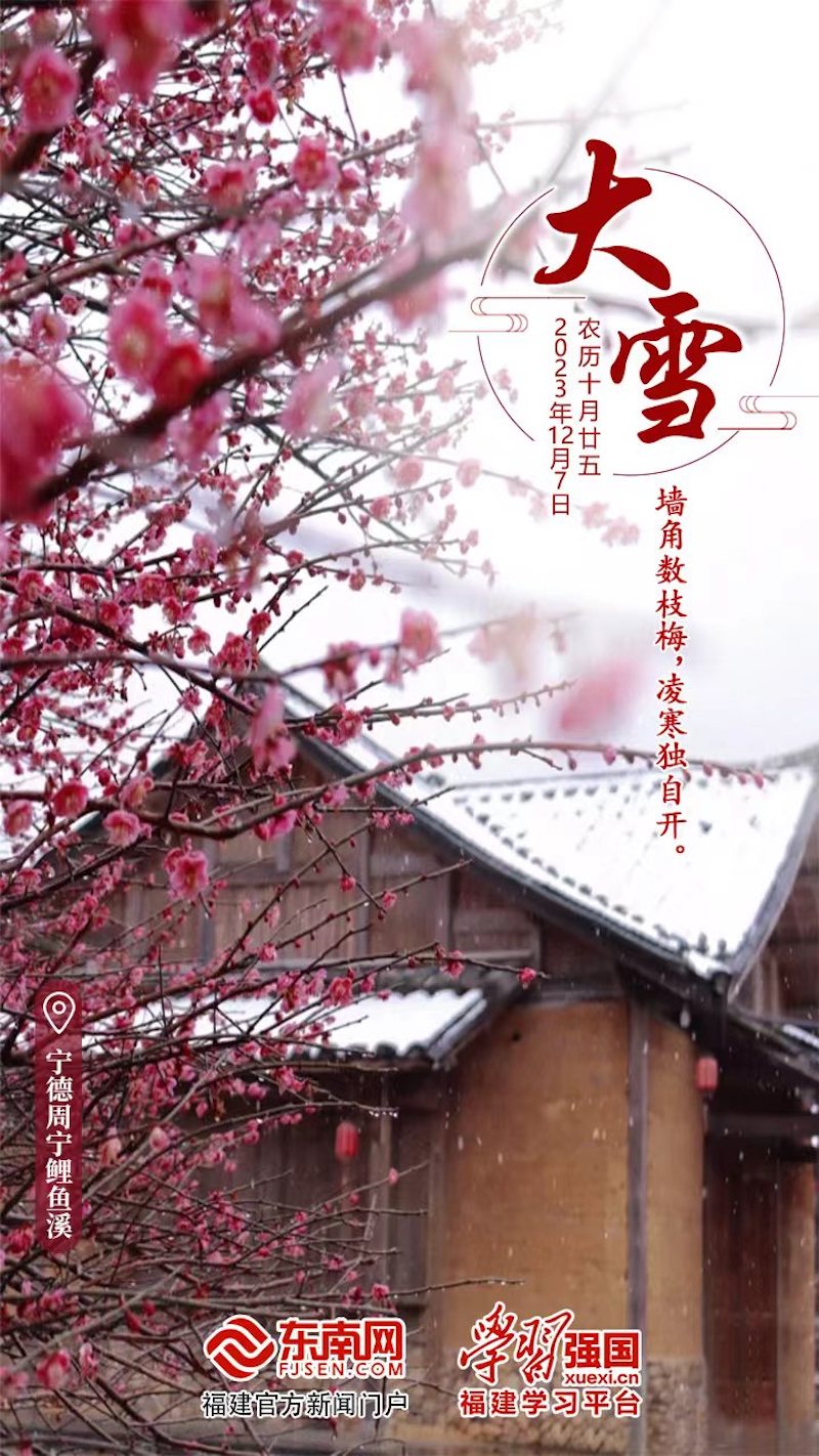 今日大雪.jpg