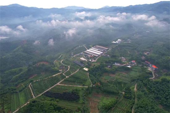 基地俯瞰.jpg