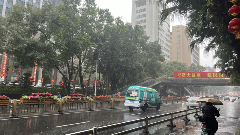2月4日 华林路降雨.jpg