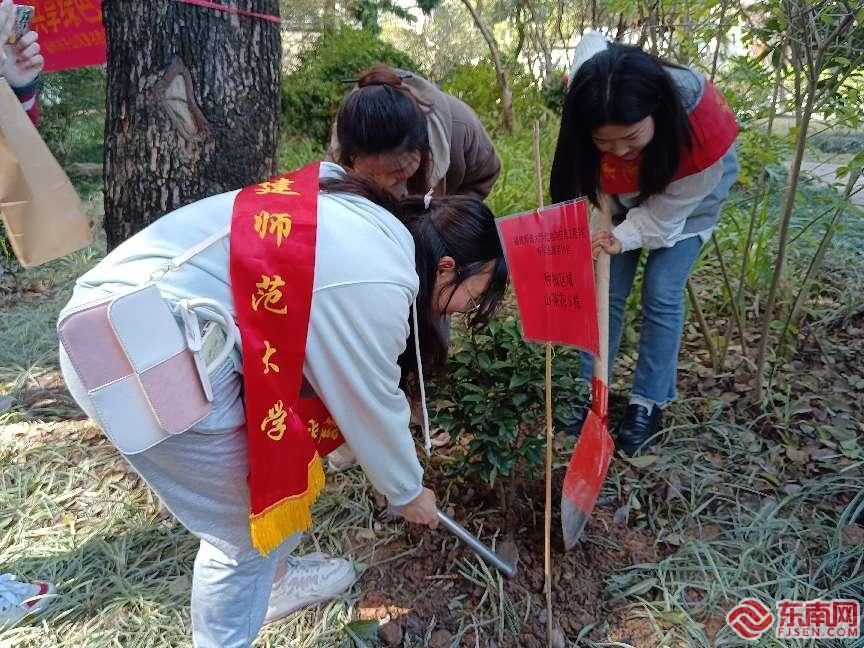 福建师范大学光电与信息工程学院青年志愿者协会参与义务植树。东南网记者 余跃 摄.jpg