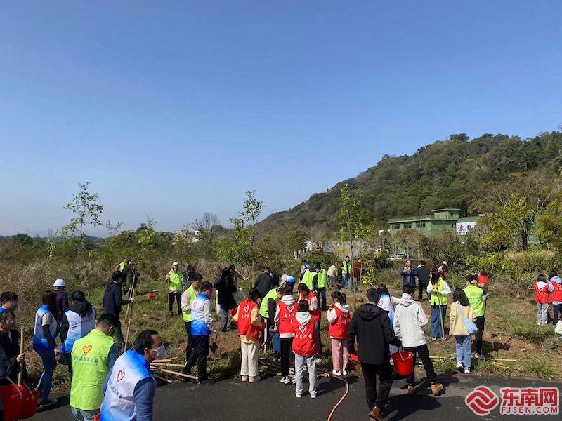今日，“植此青绿·共话融合”——两岸青年人才环保行活动举办，两岸青年热烈响应，积极参与环保植树活动。东南网记者 卢金福 摄.jpg