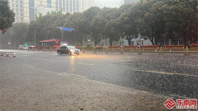 今日08时许,福州五四路降雨实况。东南网记者 余跃 摄.jpg