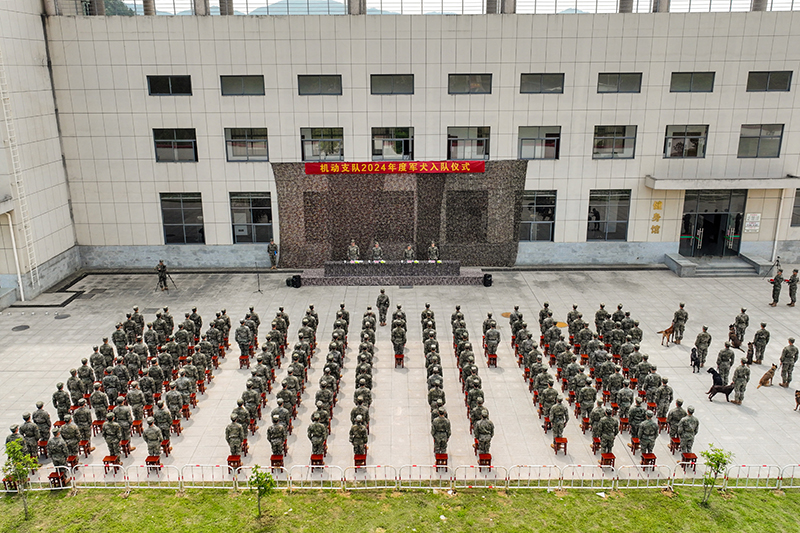 图1仪式全景。  冯之枫 摄.jpg