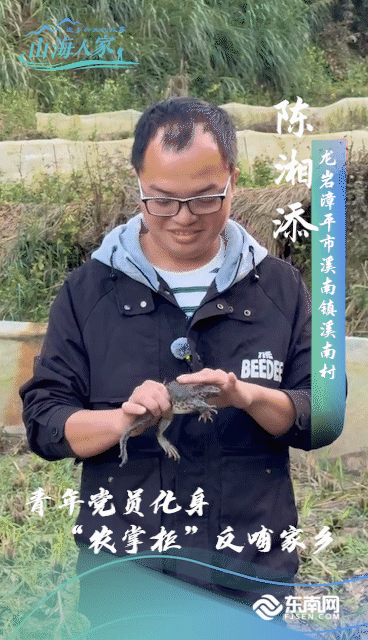 海报.gif