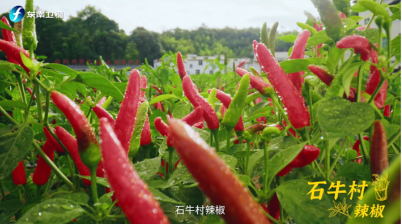 08a8cec07116423d6f398aa62784df9.png