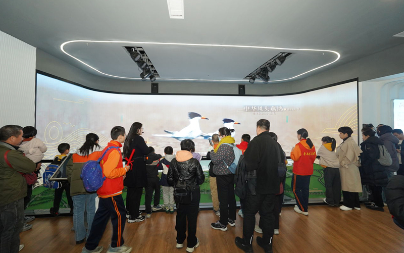 DSC07360-236467668.jpg