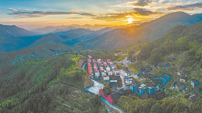 深读 | 乡愁呼唤，鸿雁唱响家乡美