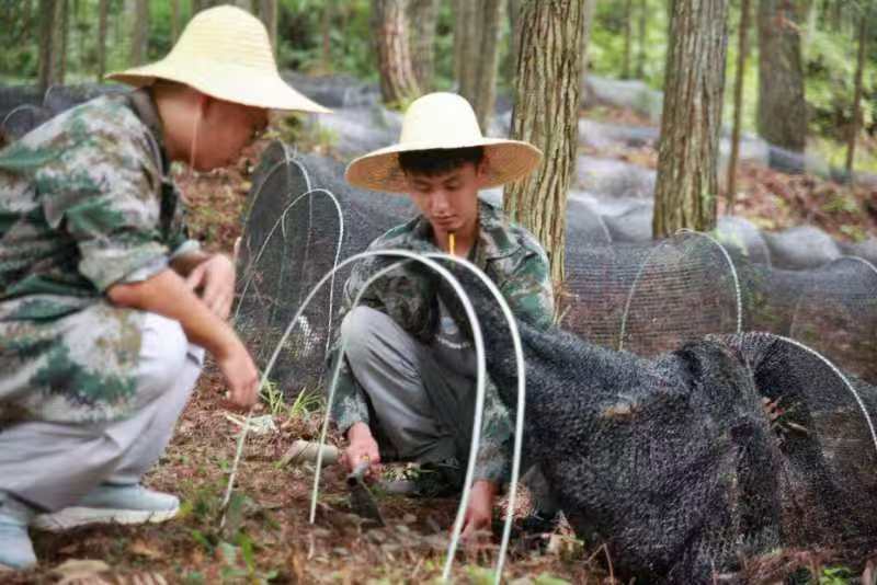 微信图片_20250719174150.jpg