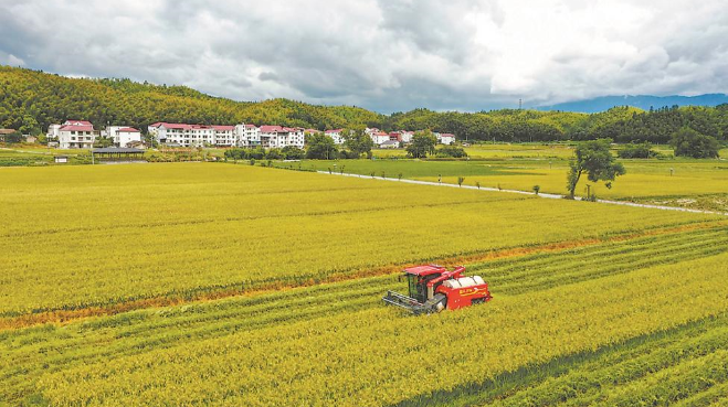 建宁持续推动高标准农田建设